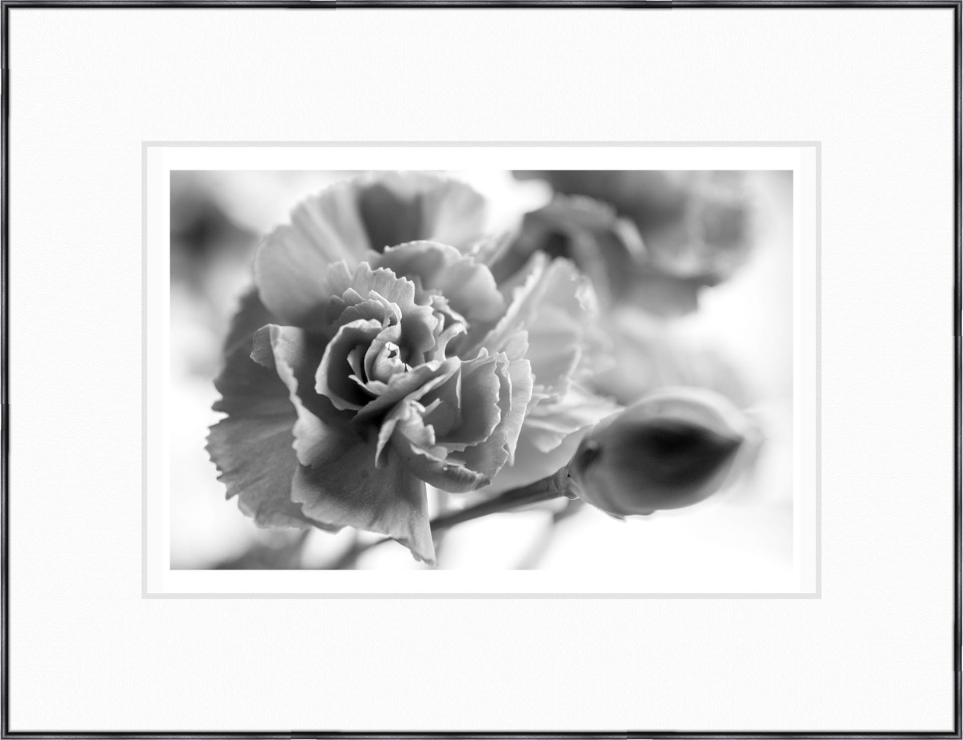 floral fine art print - framed 12x18